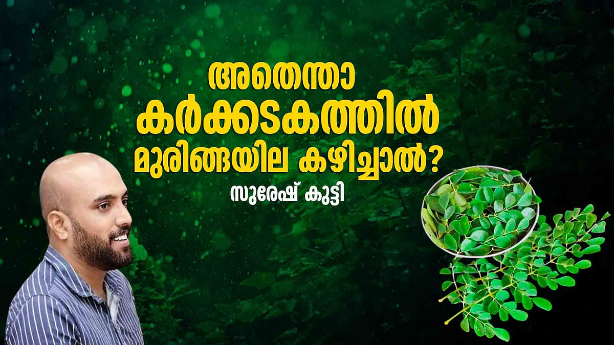 കയ്പേറിയ ഈ ഇല കഴിക്കുന്നത് നല്ലതാണോ ചീത്തയാണോ?