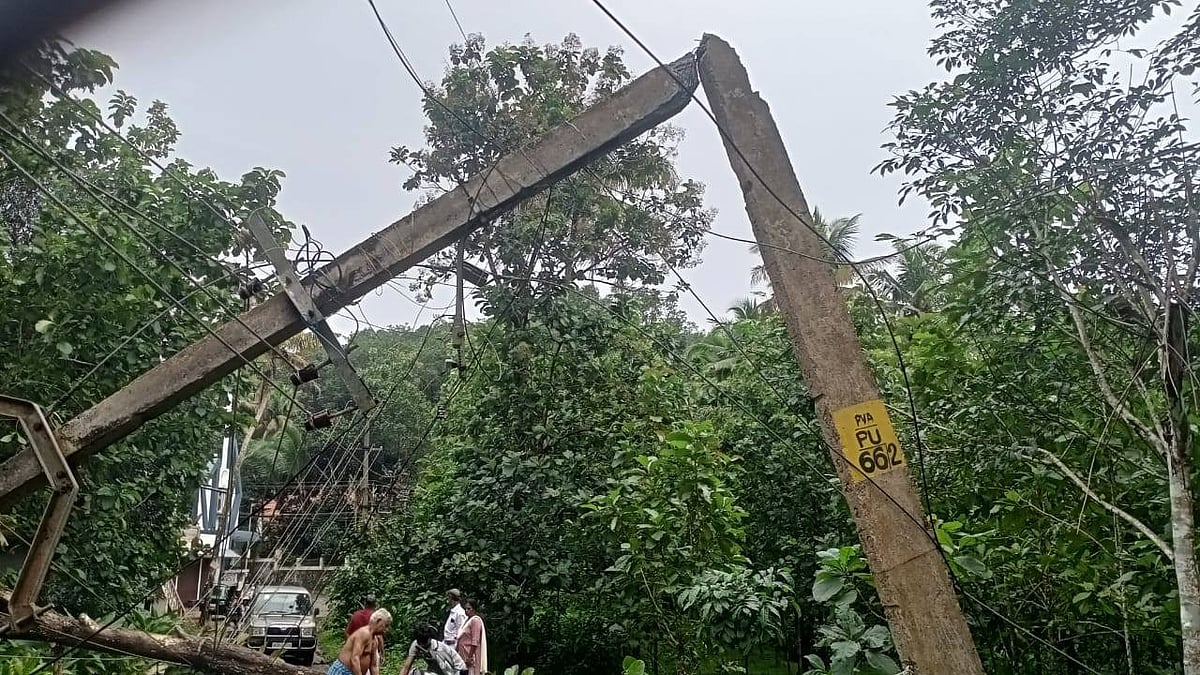അതിരാവിലെ പുറത്തിറങ്ങുന്നവര്‍ സൂക്ഷിക്കുക; വൈദ്യുതി അപകടം ഒഴിവാക്കാന്‍ ജാഗ്രത പുലര്‍ത്തണമെന്ന് കെഎസ്ഇബി 