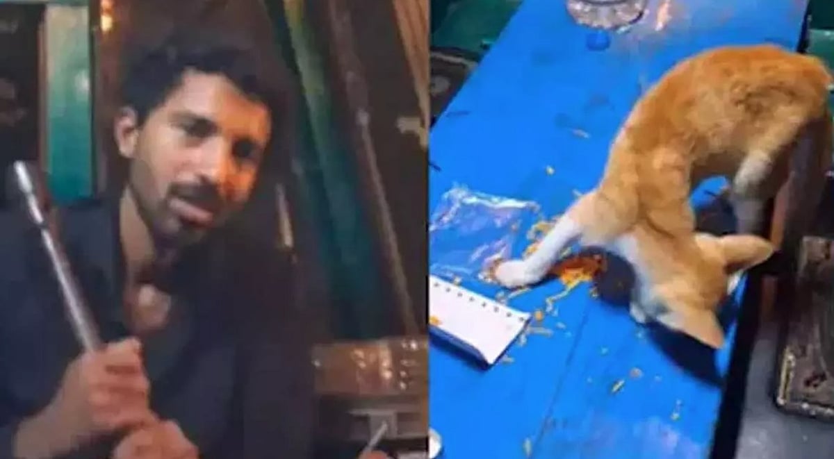 പൂച്ചയെ കൊന്ന് കഷണങ്ങളാക്കി
ദൃശ്യങ്ങള്‍ പോസ്റ്റ് ചെയ്തു; യുവാവിനെതിരെ കേസെടുത്ത് പൊലീസ് 