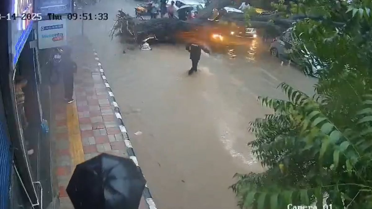 മകള്‍ക്കൊപ്പം യാത്ര ചെയ്യുമ്പോള്‍ മരം കടപുഴകി വീണു, ബൈക്ക് യാത്രികന് ദാരുണാന്ത്യം; ഡല്‍ഹിയില്‍ ദുരിതപ്പെയ്ത്ത്- വിഡിയോ 