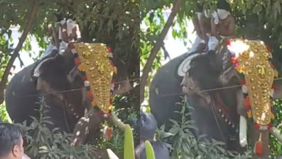 ശ്രീകൃഷ്ണജയന്തി  എഴുന്നള്ളത്തിനിടെ ആനയിടഞ്ഞു; ഇടഞ്ഞത് ചെര്‍പ്പുളശ്ശേരി മണികണ്ഠന്‍