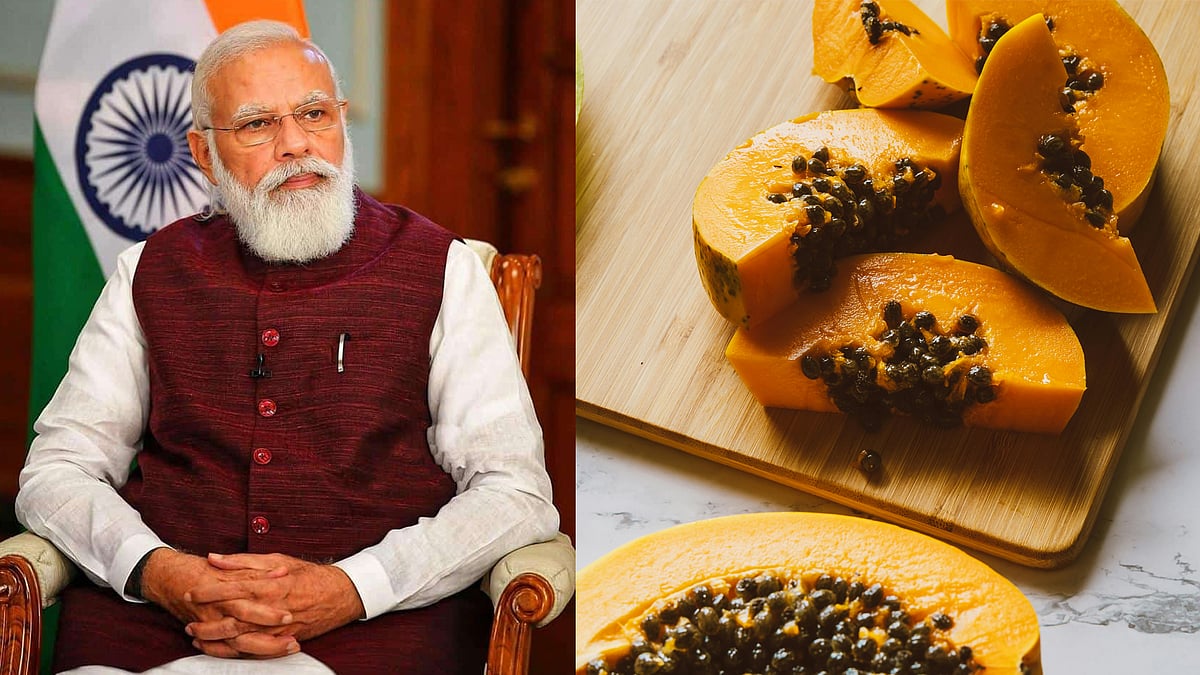 'ആ ഒന്‍പതു ദിവസം പപ്പായ  മാത്രമേ കഴിക്കൂ', പ്രായത്തെ വെറും നമ്പറാക്കി മാറ്റുന്ന മോദി മാജിക്ക്! പ്രധാനമന്ത്രിയുടെ ഡയറ്റ് പ്ലാന്‍ 