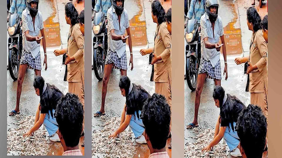 അപകടത്തില് ചിതറി വീണ മീനെല്ലാം വാരി കുട്ടയിലിട്ട് ഷിഫ്ന, സഹായഹസ്തം, കൈയടി