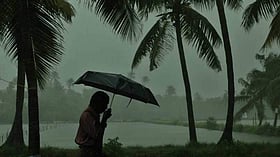 മഴ കനക്കുന്നു, ഏഴു ജില്ലകളില്‍ ഇന്ന് ശക്തമായ മഴയ്ക്ക് സാധ്യത, യെല്ലോ അലര്‍ട്ട്