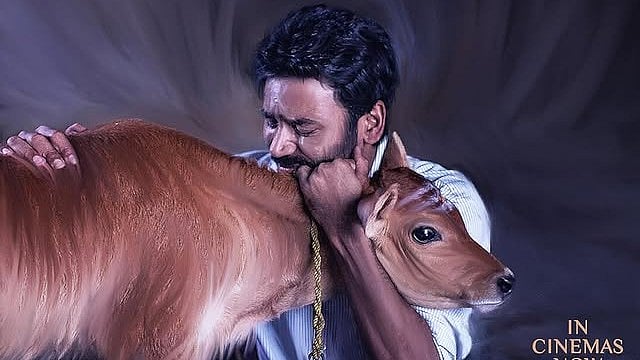 'ഒരു ചെറിയ ഇഡ്ഡലി കടയും ഒരായിരം ഓർമകളും'; ധനുഷ് ചിത്രം ഒടിടിയിൽ എവിടെ, എപ്പോൾ കാണാം?