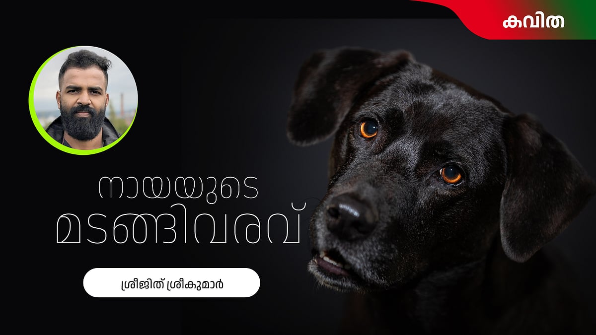 നായയുടെ മടങ്ങിവരവ് - ശ്രീജിത് ശ്രീകുമാര്‍ എഴുതിയ കവിത