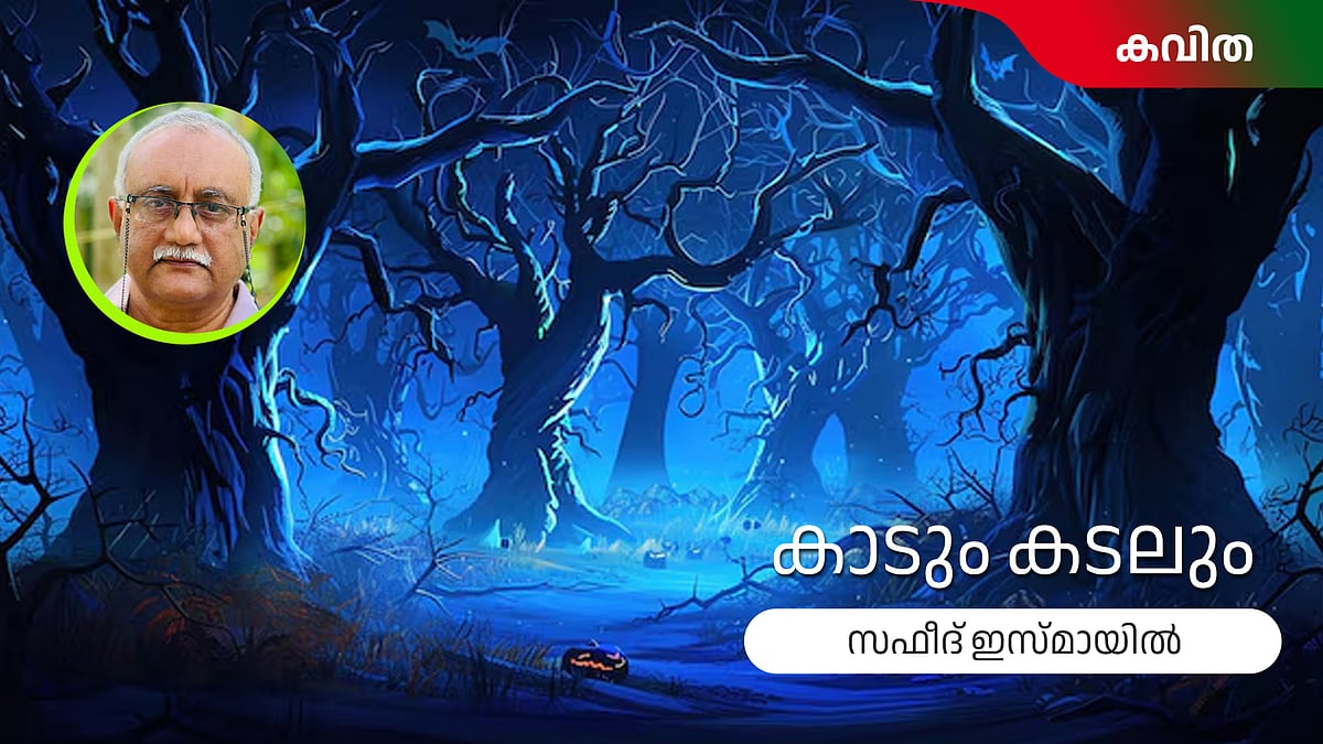 കാടും കടലും - സഫീദ് ഇസ്മായില്‍ എഴുതിയ കവിത
