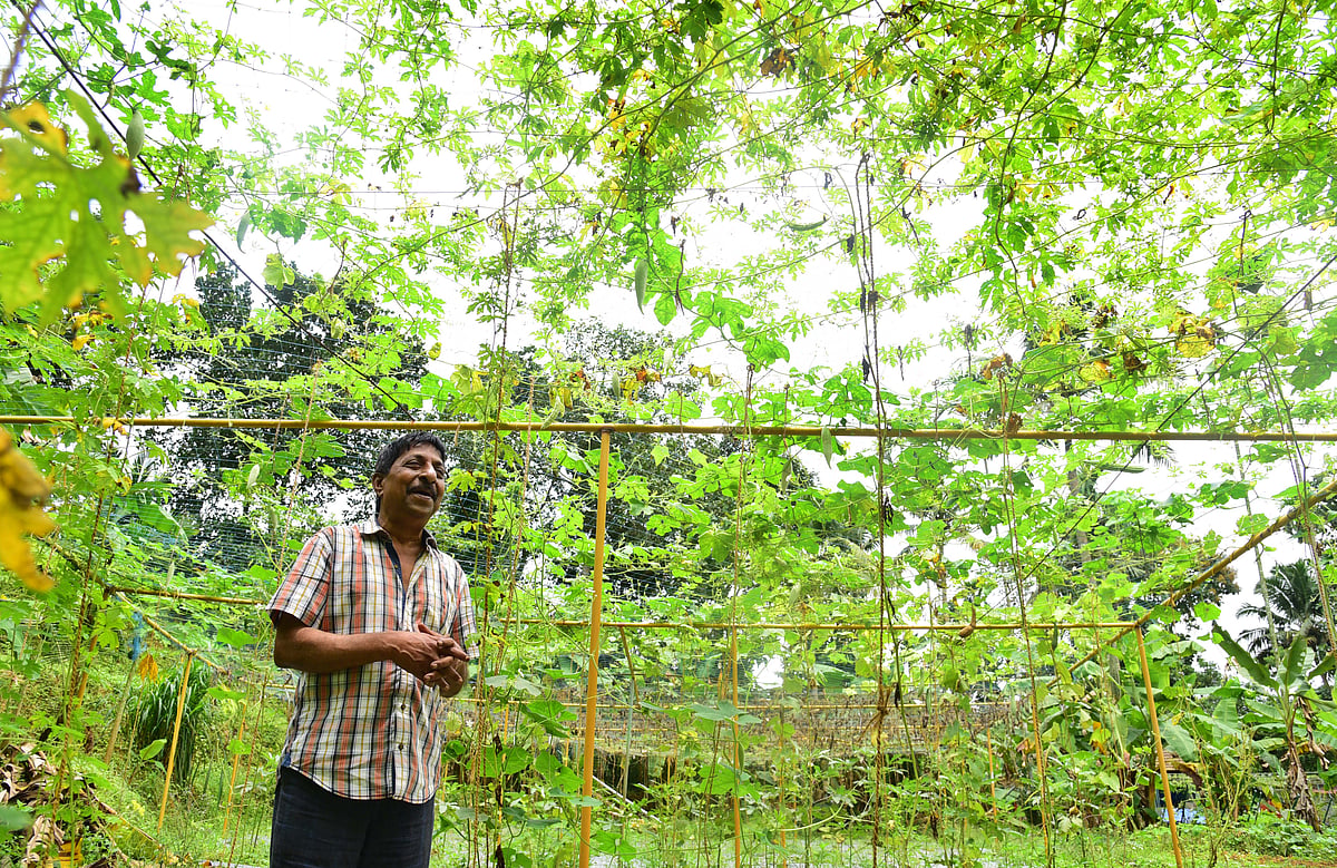 സ്ക്രീനില്‍വാസന്‍