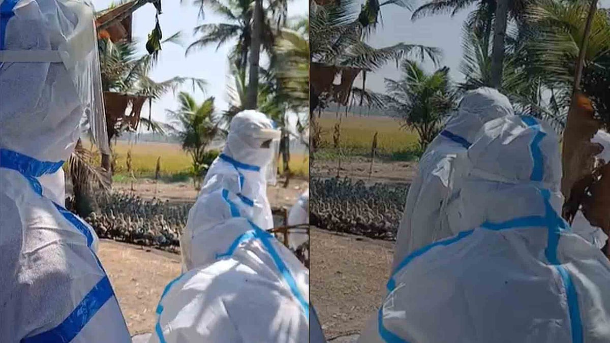 പക്ഷിപ്പനി: ആലപ്പുഴയില്‍ ഇന്ന് കൊന്നൊടുക്കിയത്  7,625 പക്ഷികളെ