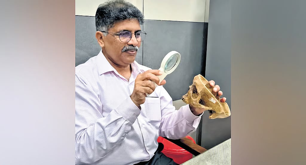 'കടിച്ചാല്‍ പിടി വീഴും'; സത്യം വിളിച്ചുപറയുന്ന പല്ലുകള്‍;
കേരളത്തിലെ ഒരേയൊരു ഡെന്റല്‍ ഡിറ്റക്റ്റീവ്