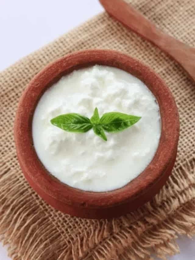 ഇനി തൈരു പുളിച്ചു പോകില്ല 