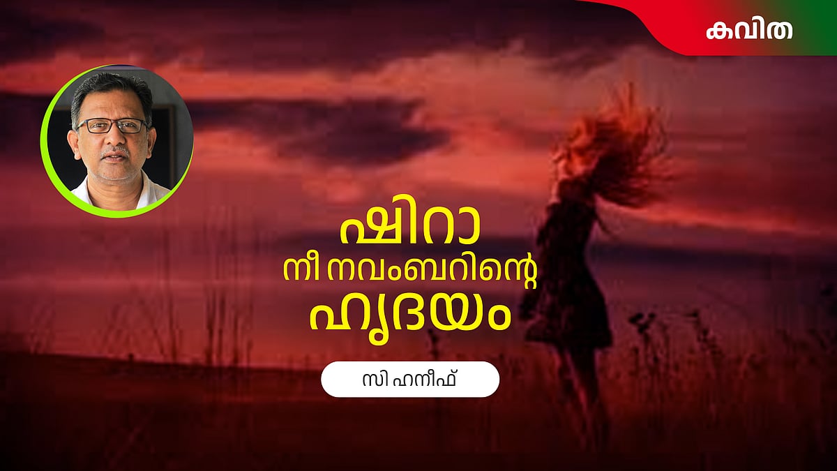 ഷിറാ നീ നവംബറിന്റെ ഹൃദയം