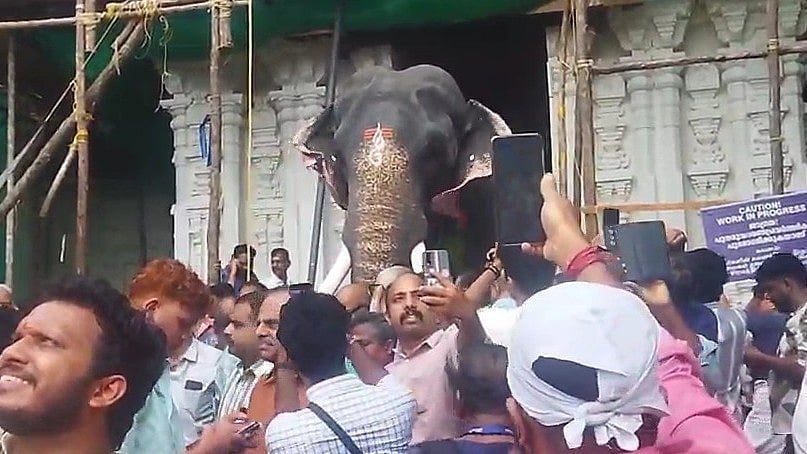 കുളിച്ചുകുറിതൊട്ട് രാജകീയ വരവ്; പാറമേക്കാവിലമ്മയെ ശിരസ്സിലേറ്റാന്‍ തൃക്കടവൂര്‍ ശിവരാജു, വടക്കുന്നാഥന്റെ മണ്ണില്‍ ഊഷ്മള സ്വീകരണം- വിഡിയോ 