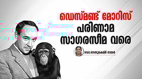 മോറിസ് മനുഷ്യനെ വായിക്കുമ്പോള്‍