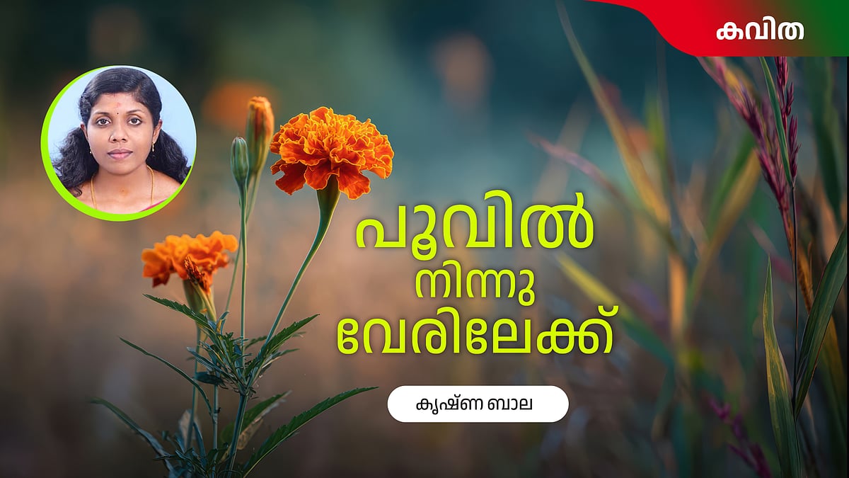 പൂവില്‍ നിന്ന് വേരിലേക്ക് - കൃഷ്ണ ബാല എഴുതിയ കവിത