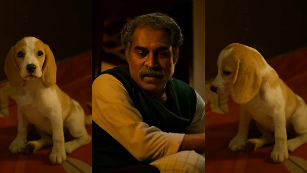 'നായ അല്ല... സിമ്പ, അവനെ അങ്ങനെ വിളിച്ചാൽ മതി'; ദുഷ്ടത്തരം മാത്രമല്ല ​ഗോവിന്ദരാജയുടെ ആരും ശ്രദ്ധിക്കാതെ പോയ മറ്റൊരു മുഖം, തിളങ്ങി നോവയും