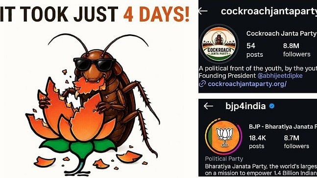 വിലക്കുകളെ ലംഘിച്ച് 'പാറ്റകൾ'; 'കോക്രോച്ച് ഈസ്‌ ബാക്ക്', വൻ തരംഗമായി പുതിയ അക്കൗണ്ടും 