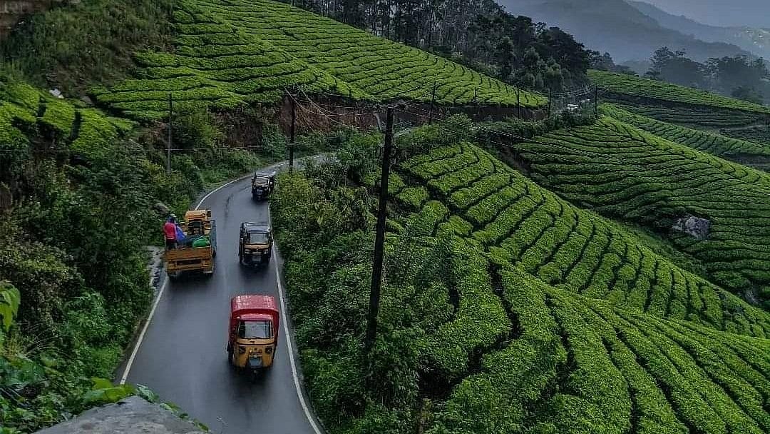 മൂന്നാറിന് പിന്നാലെ ദേവികുളത്തും വാഹനങ്ങള്‍ക്ക് നിയന്ത്രണം ഏര്‍പ്പെടുത്താന്‍ നീക്കം, വലിയ വാഹനങ്ങള്‍ക്ക് മാട്ടുപെട്ടിയിലേക്കുള്ള പ്രവേശനം വിലക്കും 