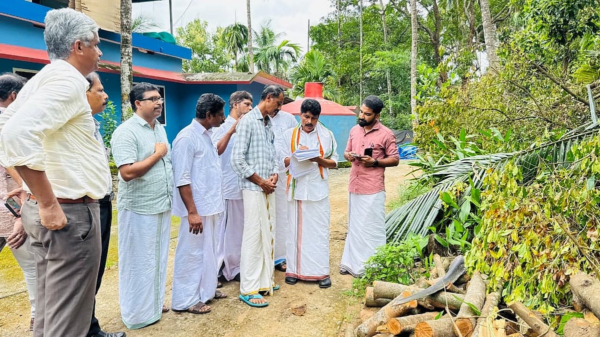 ചുഴലിക്കാറ്റില്‍ കൃഷിനാശം: നഷ്ടപ്പെട്ട വിളകള്‍ സൗജന്യമായി റീപ്ലാന്റ് ചെയ്തു നല്‍കുമെന്ന് കൃഷിമന്ത്രി 