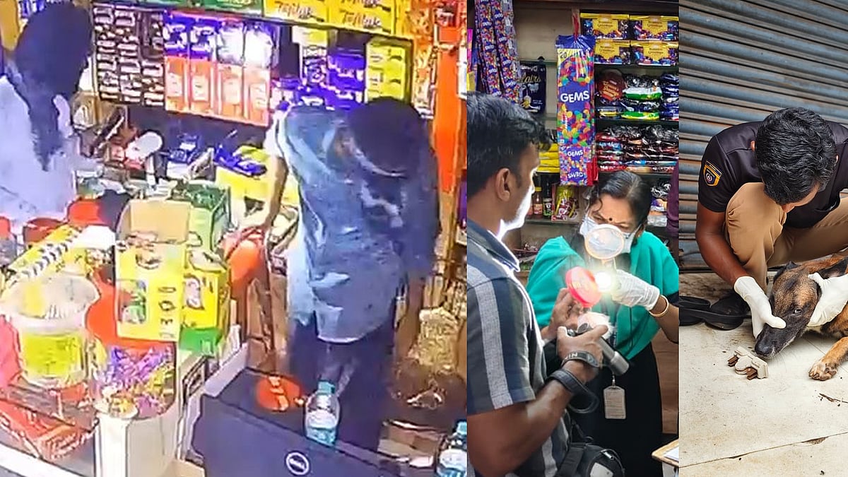 അർധരാത്രി ബേക്കറിയിൽ മുഖംമൂടിയിട്ട കള്ളൻമാർ; ചോക്ലേറ്റ് വാരി പോക്കറ്റിലിട്ടു; 21,000 രൂപയും ഫോണും അടിച്ചുമാറ്റി (വിഡിയോ)