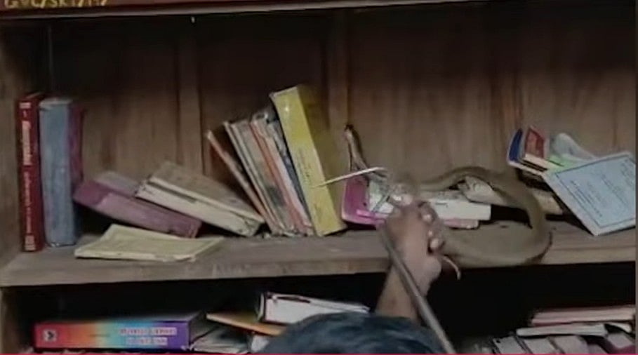 പാലക്കാട് വിക്ടോറിയ കോളജ് ലൈബ്രറിയില്‍ കൂറ്റന്‍ മൂര്‍ഖന്‍ പാമ്പ്; കണ്ടെത്തിയത് പുസ്തകങ്ങള്‍ക്കിടയില്‍