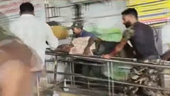 പ്രതിഷേധം ഫലം കണ്ടു; കാട്ടാന ആക്രമണത്തിൽ മരിച്ച രാജുവിന്റെ കുടുംബത്തിന് 14 ലക്ഷം രൂപ നഷ്ടപരിഹാരം പ്രഖ്യാപിച്ച് സർക്കാർ