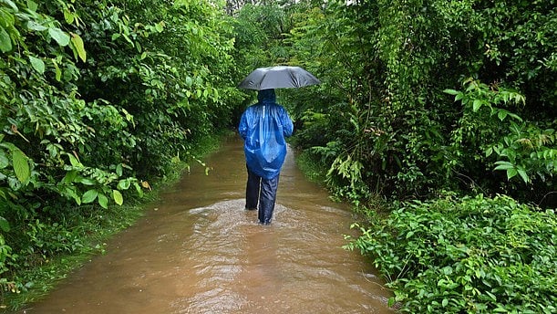 ഇന്നുമുതല്‍ കാലവര്‍ഷം ശക്തമാകും; എട്ടു ജില്ലകളില്‍ യെല്ലോ അലര്‍ട്ട് 