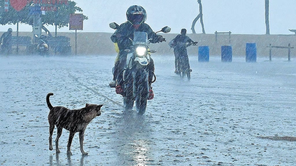 ചക്രവാതച്ചുഴി: ഞായറാഴ്ച മുതല്‍ മഴ ശക്തമാകാന്‍ സാധ്യത; എട്ടു ജില്ലകളില്‍ യെല്ലോ അലര്‍ട്ട് 