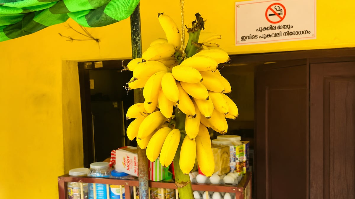 പൂവമ്പഴത്തിന് പകരമാവില്ല ഓറഞ്ച്! ലൈംഗിക ശേഷി വർധിപ്പിക്കുന്ന ഭക്ഷണങ്ങൾ