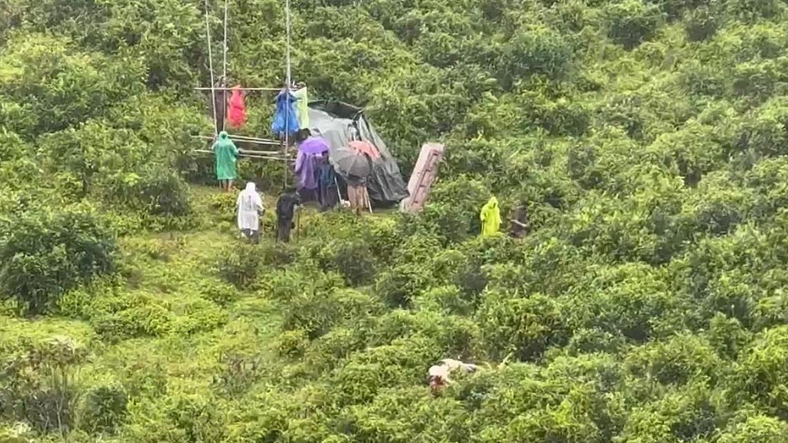  ഗ്രാമ്പിയിൽ ഭീതി വിതയ്ക്കുന്ന കടുവയെ മയക്കുവെടി വെച്ച് പിടികൂടാൻ വനംവകുപ്പ്; തേയിലത്തോട്ടത്തിൽ ഏറുമാടം നിർമ്മിച്ചു
