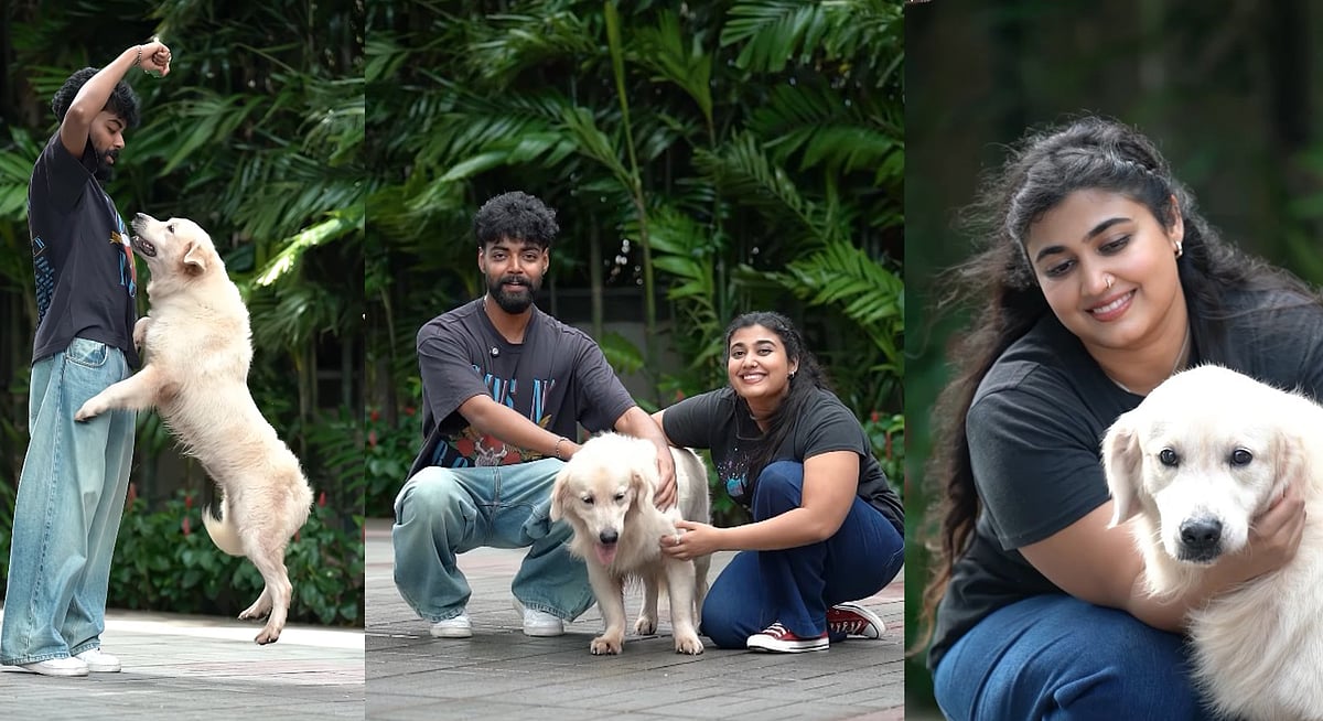 മൂന്ന് പേരും തകർത്തു! മെസിക്കൊപ്പം കളി ചിരികളുമായി വിസ്മയയും ആശിഷും; വിഡിയോ വൈറൽ