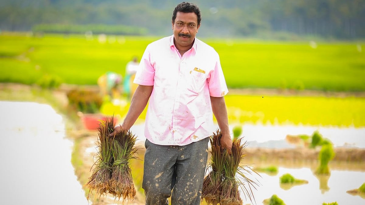 ഔഷധഗുണമുള്ള നാടൻ നെല്ലിനങ്ങളുടെ കൂട്ടിൽ 'പോഷക റൈസ്'; തീൻമേശകളിൽ വിപ്ലവം തീർത്ത് വയനാടൻ കർഷകൻ