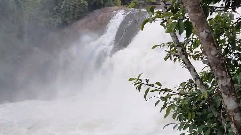 ആർത്തിരമ്പുന്ന വെള്ളച്ചാട്ടത്തിനൊപ്പം ഒരു മാസ് സെൽഫി! ഇടുക്കിയിലെ ശ്രീനാരായണപുരം റിപ്പിൾ ഫാൾസ് സജീവമായി |VIDEO