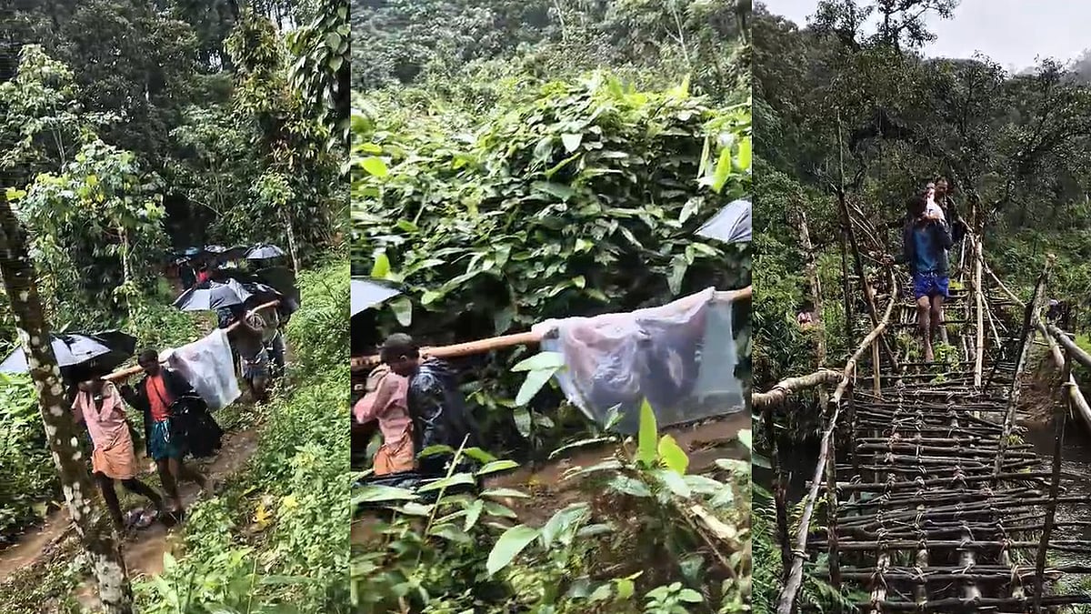ഇടമലക്കുടിക്ക് ആശ്വാസം; മീൻകുത്തി-കൂടലാർ റോഡിനായി വനഭൂമി വിട്ടുനൽകാൻ ഉത്തരവായി