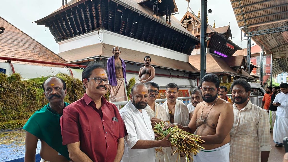 ആദ്യ കൊയ്ത്തിന്റെ നെല്ല് ഗുരുവായൂരപ്പന്; ​ഗുരുവായൂരിൽ ഇല്ലംനിറ ഇന്ന്