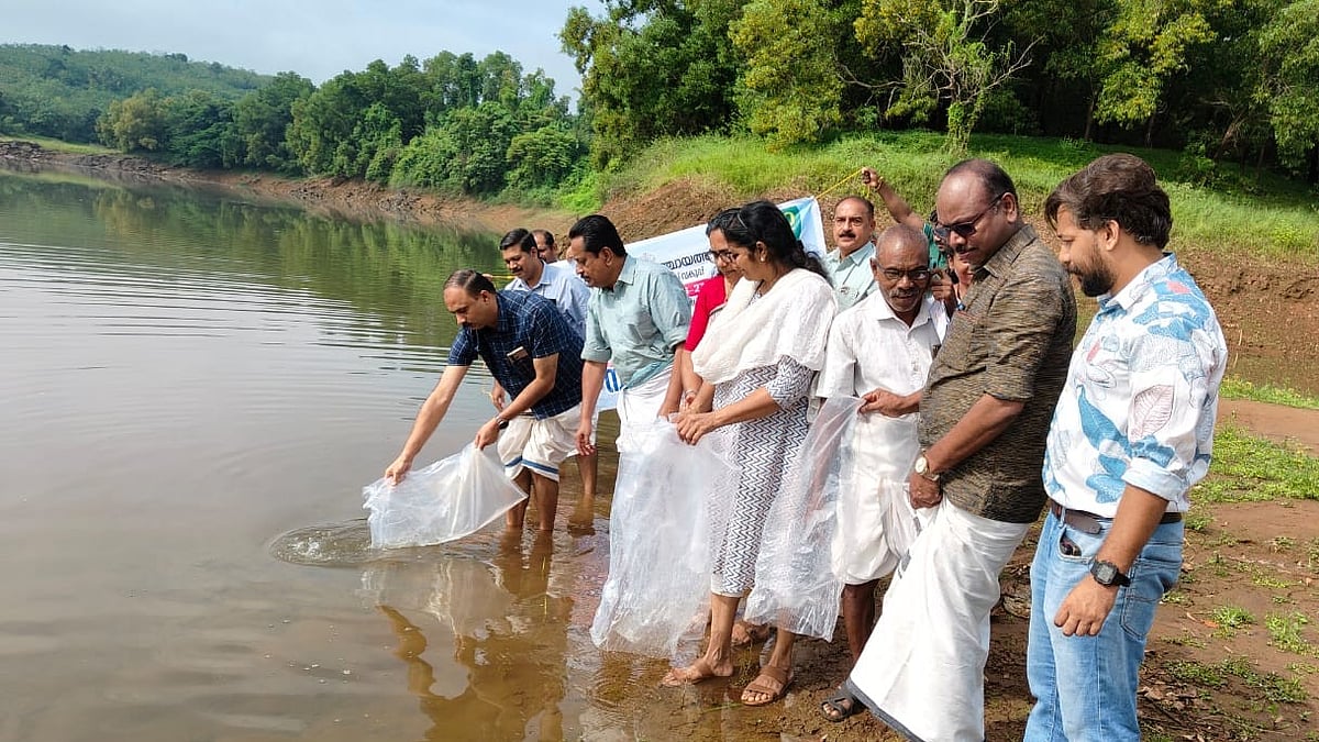 പൂവ്വം കടവിൽ ഒരു ലക്ഷം മത്സ്യക്കുഞ്ഞുങ്ങളെ നിക്ഷേപിച്ചു; 10 ലക്ഷം രൂപയുടെ മത്സ്യവിത്തുകൾ വിതരണം ചെയ്യും