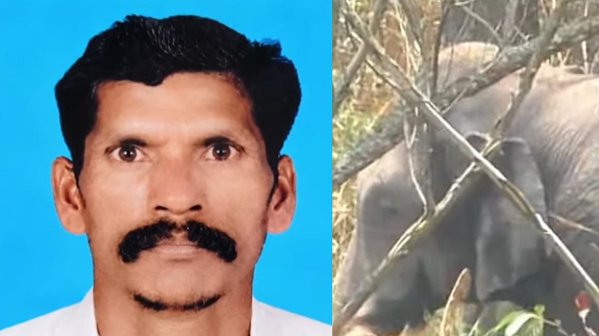 വീണ്ടും ആനക്കലി; ഇടുക്കിയില് കാട്ടാന ആക്രമണത്തില് ഒരാള് മരിച്ചു