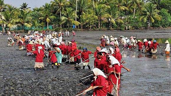 കേരളമുള്‍പ്പെടെ 20 സംസ്ഥാനങ്ങളിലെ തൊഴിലുറപ്പ് കൂലി നിലച്ചു