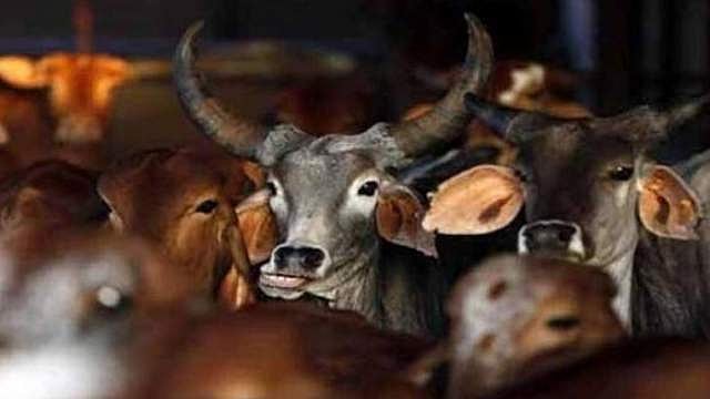 യുപിയില്‍ അറവ് ശാലകള്‍ക്ക് തീയിട്ടു