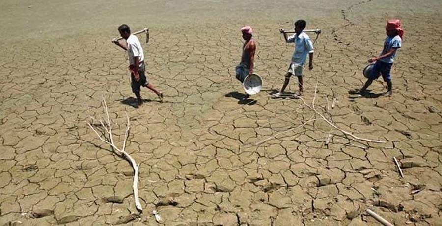 സംസ്ഥാനം കടുത്ത വരള്‍ച്ചയില്‍; പരക്കെ കൃഷി നാശമെന്ന് കേന്ദ്രസംഘത്തിന്റെ റിപ്പോര്‍ട്ട്
