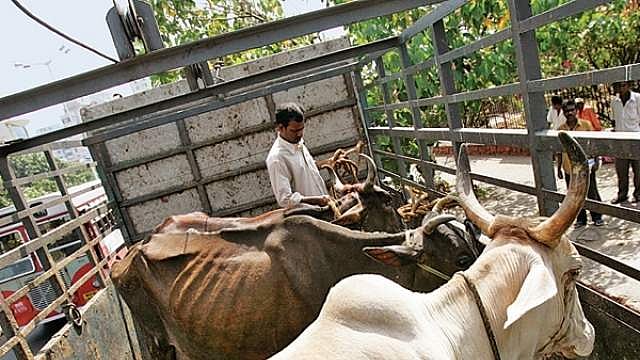 കന്നുകാലി കശാപ്പ് നിരോധനം; ജൂണ് 22ന് എല്ഡിഎഫ് രാജ്ഭവന് മാര്ച്ച് സംഘടിപ്പിക്കും