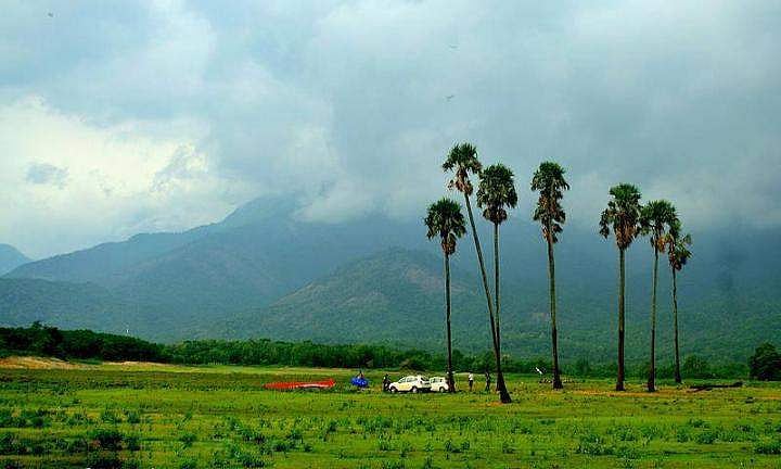 പാലക്കാട് ജില്ലയില്‍ കനത്ത മഴ; മണ്ണാര്‍ക്കാട് മരങ്ങള്‍ കടപുഴകി വീണു