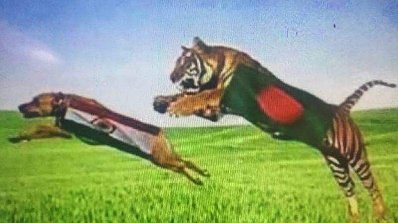 നായയുടെ ദേഹത്ത് ഇന്ത്യന് പതാക പതിച്ച് ബംഗ്ലാദേശ് ആരാധകര്;കളത്തിന് പുറത്തെ ആരാധകരുടെ പോര് തുടങ്ങി