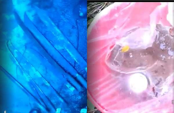 പയ്യന്നൂരില് ആര്എസ്എസ് കാര്യാലയത്തില് റെയ്ഡ്: മാരകായുധങ്ങളും സ്റ്റീല്ബോംബും കണ്ടെടുത്തു; തറയില് കണ്ട രക്തക്കറയെക്കുറിച്ച് അന്വേഷിക്കും