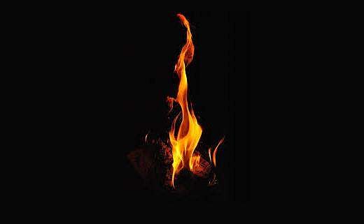 യുവമോര്‍ച്ച പാലക്കാട് ജില്ലാ സെക്രട്ടറി  സജിന്‍ലാല്‍ പൊള്ളലേറ്റ് മരിച്ചു