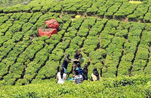 രാജമാണിക്യം റിപ്പോര്ട്ട് അട്ടിമറിക്കുന്നത് ആര്ക്കുവേണ്ടി?