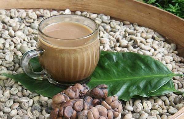ഒരു കിലോ കാപ്പിപ്പൊടിക്ക് 25,000 രൂപ; ലോകത്തെ ഏറ്റവും വിലയേറിയ കാപ്പി ഇന്ത്യയിലും