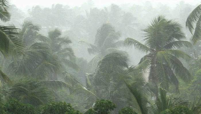 സംസ്ഥാനത്ത് കനത്ത മഴ; അട്ടപ്പാടിയില്‍ ഒരു മരണം; വ്യാപക കൃഷി നാശവും ഉരുള്‍ പൊട്ടലും, ജാഗ്രതാ നിര്‍ദേശം നല്‍കി
