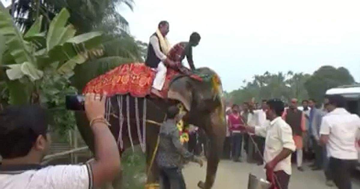 ആനപ്പുറത്ത് എഴുന്നള്ളിച്ച് സ്വീകരണം; അണികളെ കണ്ട് പരിഭ്രമിച്ച് ആന വേഗം കൂട്ടി, ഡെപ്യൂട്ടി സ്പീക്കര്‍ താഴെ വീണു; വീഡിയോ