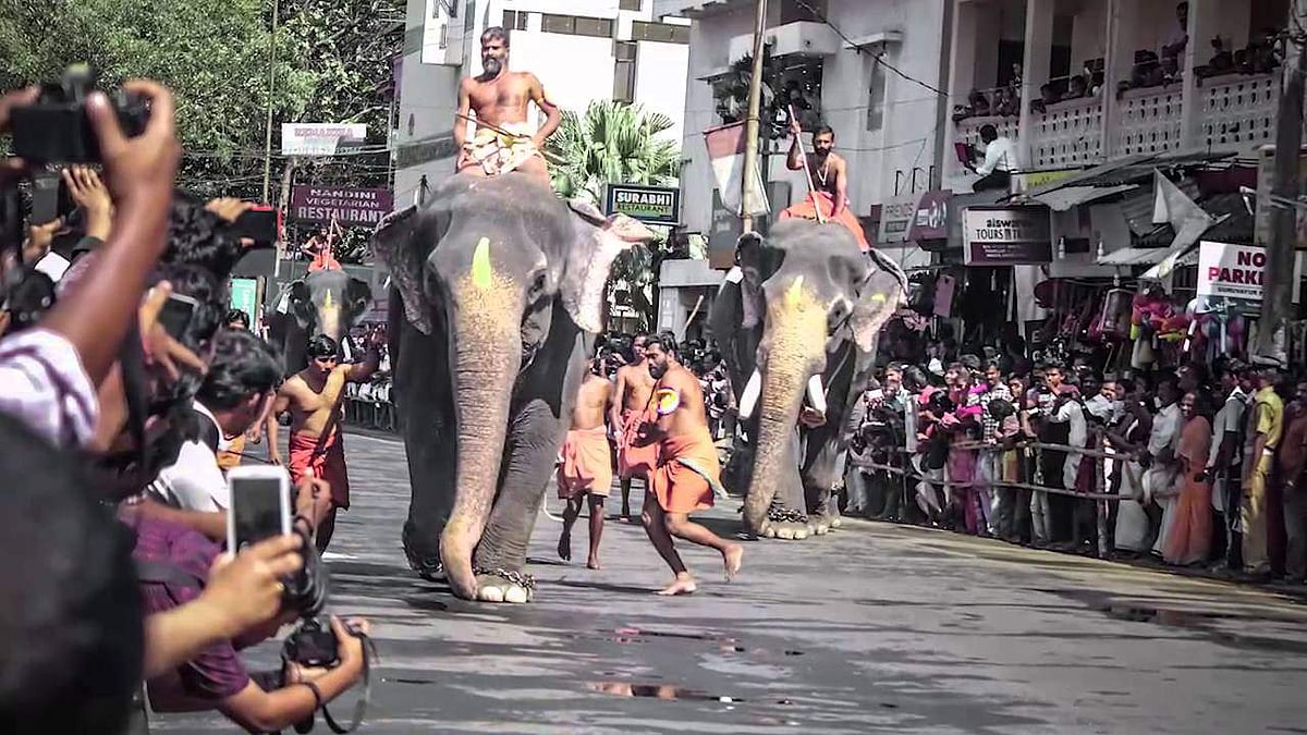 ഗുരുവായൂരിലും സുപ്രിംകോടതി ഇടപെടുന്നു; ആനയോട്ടത്തില് സര്ക്കാരിനും ദേവസ്വം ബോര്ഡിനും നോട്ടീസ്